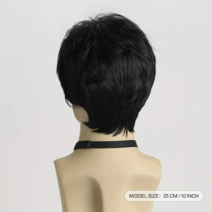 Short Hairs Full Head Cap Wig